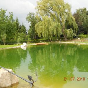 Schwimmteich.JPG